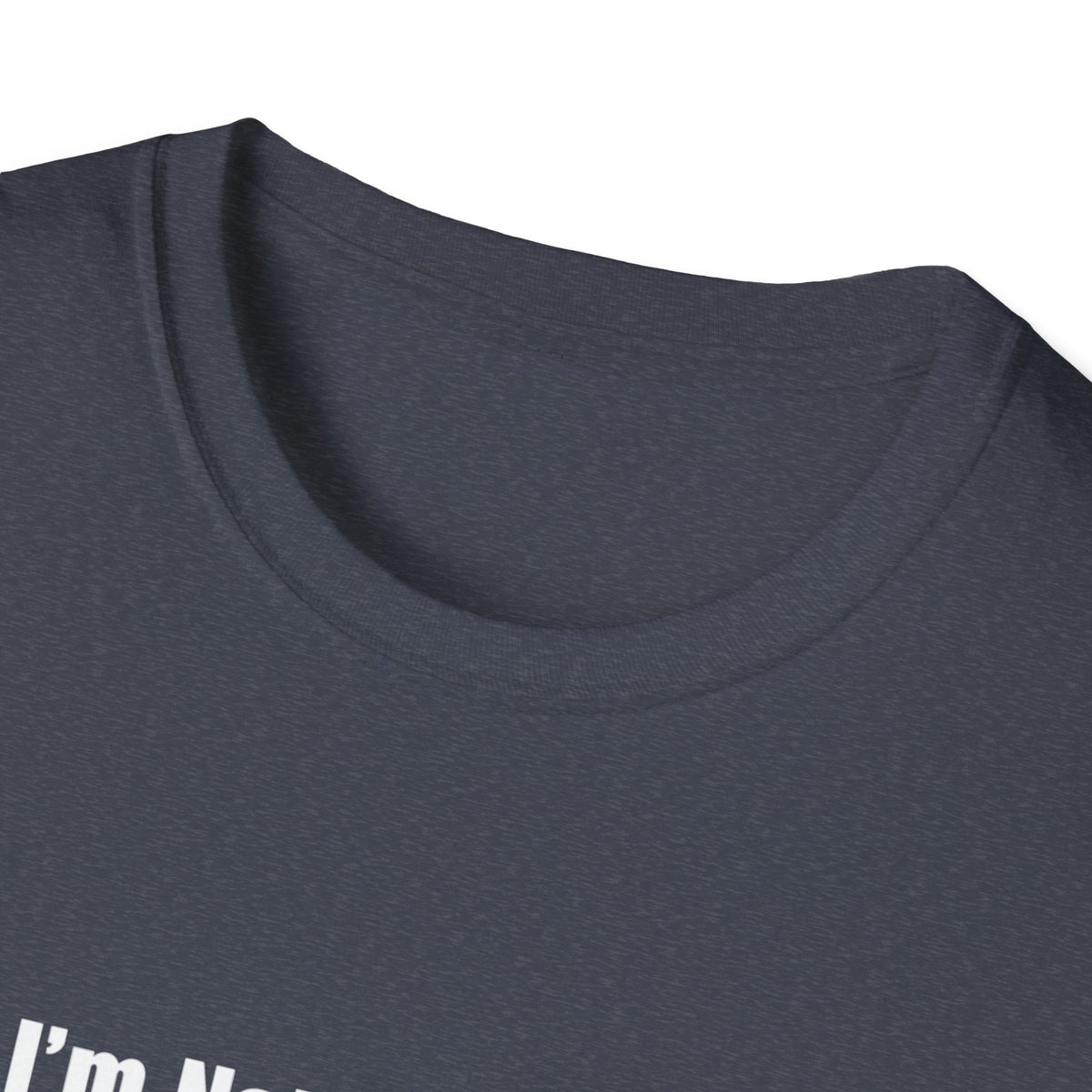 Funny Quote T-Shirt — "I'm Not Arguing, I'm Just Explaining Why I'm Right"