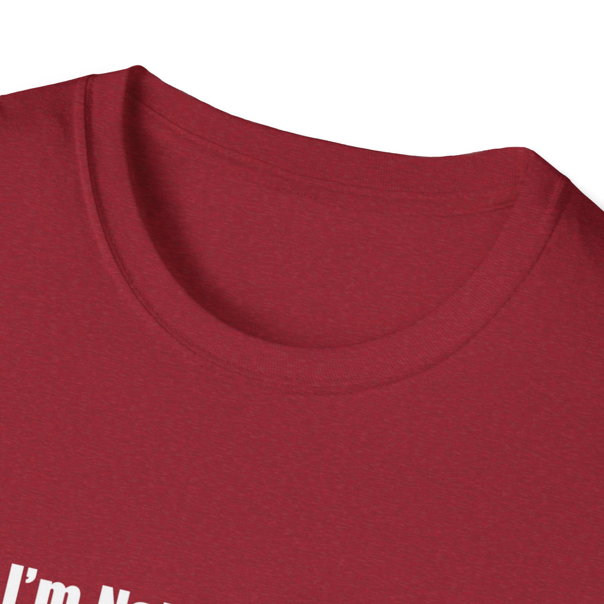 Funny Quote T-Shirt — "I'm Not Arguing, I'm Just Explaining Why I'm Right"