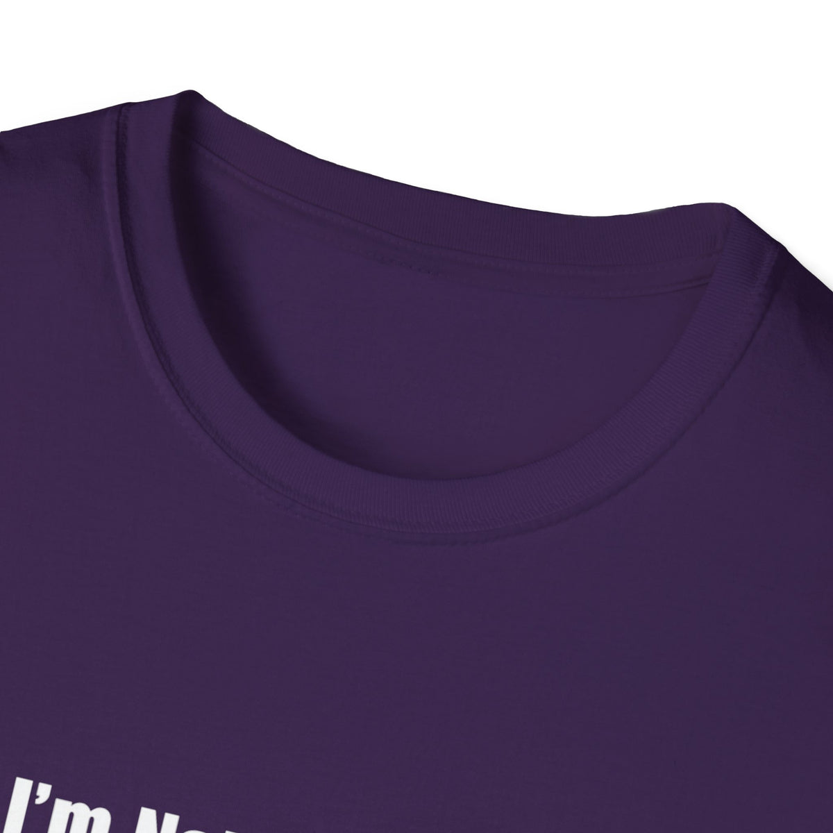 Funny Quote T-Shirt — "I'm Not Arguing, I'm Just Explaining Why I'm Right"