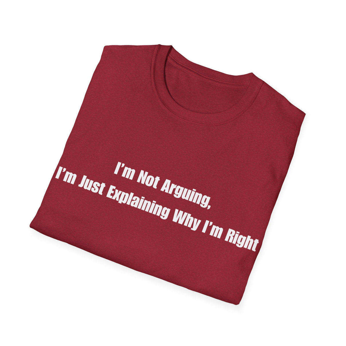 Funny Quote T-Shirt — "I'm Not Arguing, I'm Just Explaining Why I'm Right"